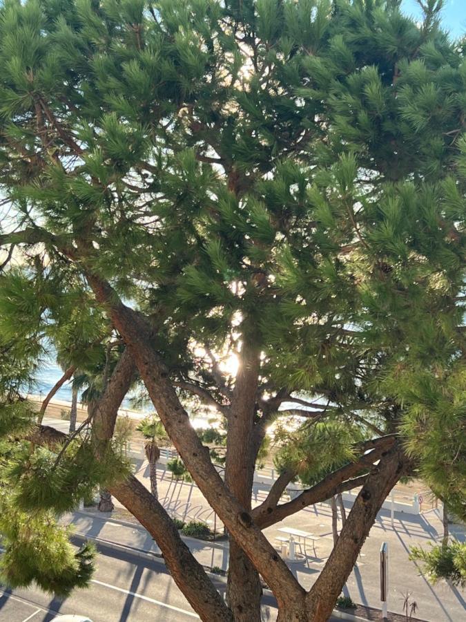 Vacances Paradisiaques, Plage Cannes Boccacabana, Studio ภายนอก รูปภาพ
