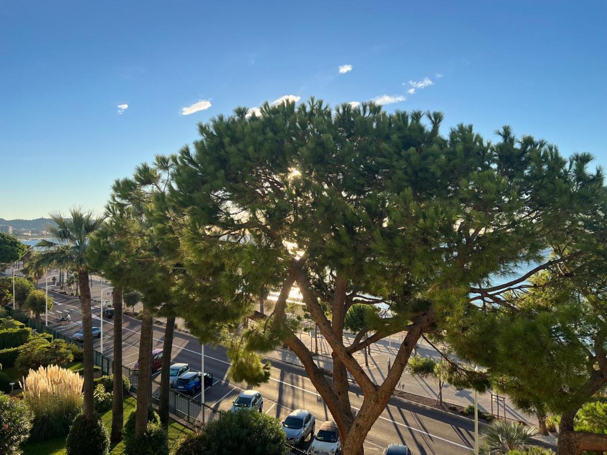 Vacances Paradisiaques, Plage Cannes Boccacabana, Studio ภายนอก รูปภาพ